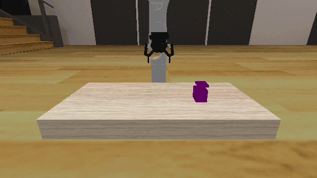 Initial State Distribution