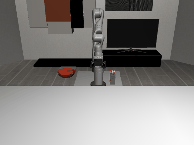 Initial State Distribution